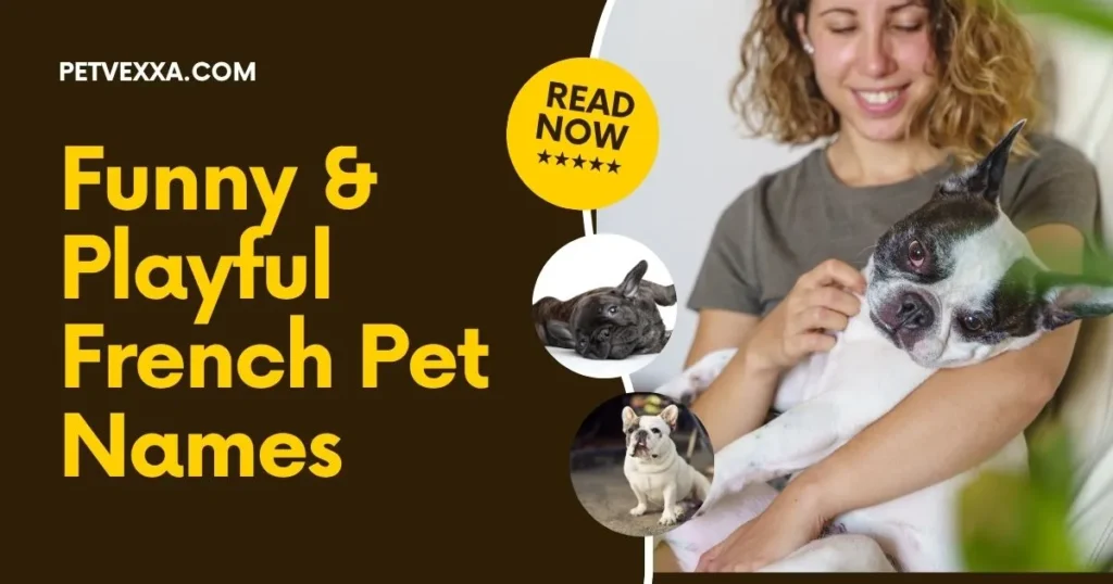 French Pet Names for Lovers