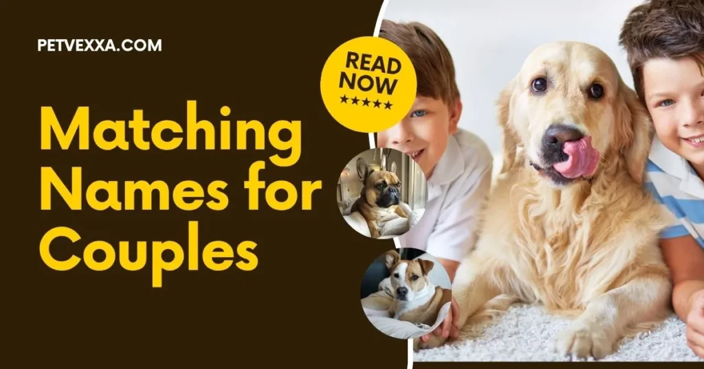 French Pet Names for Lovers