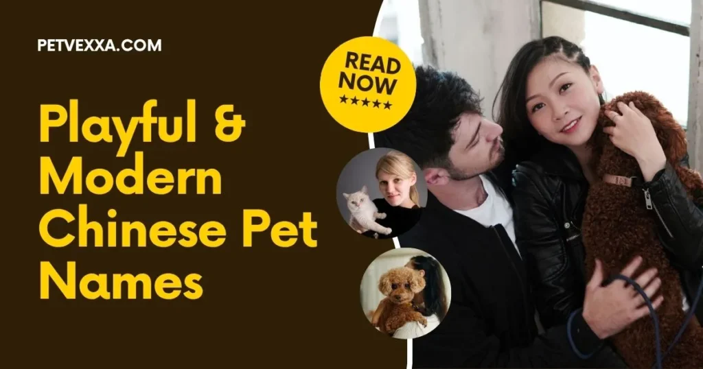 chinese-pet-names-for-lovers