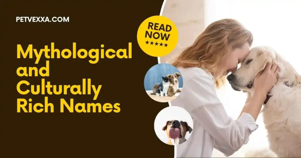 cute-pet-names-in-spanish