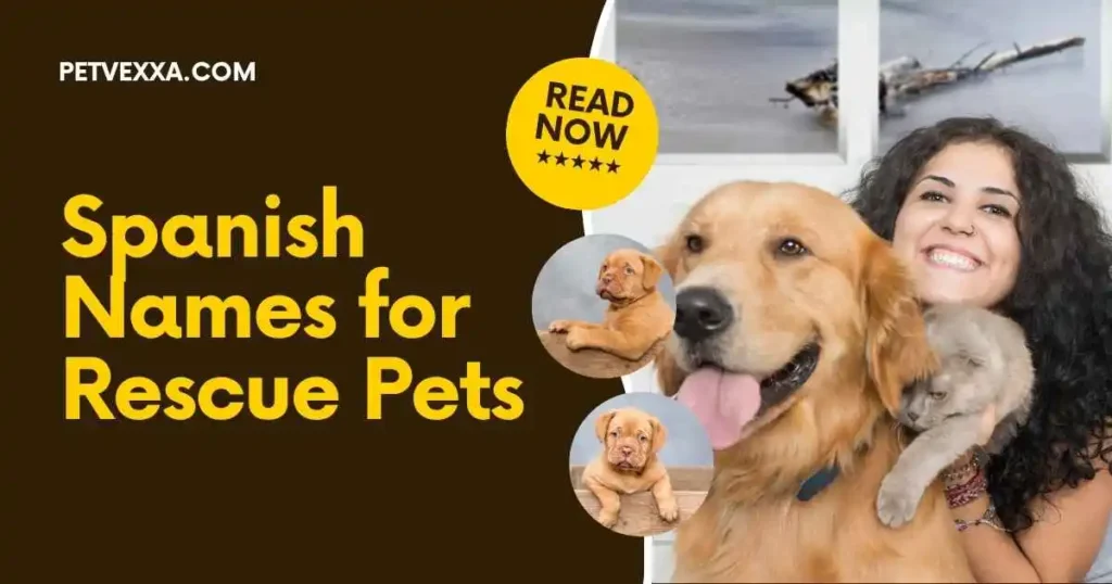 cute-pet-names-in-spanish
