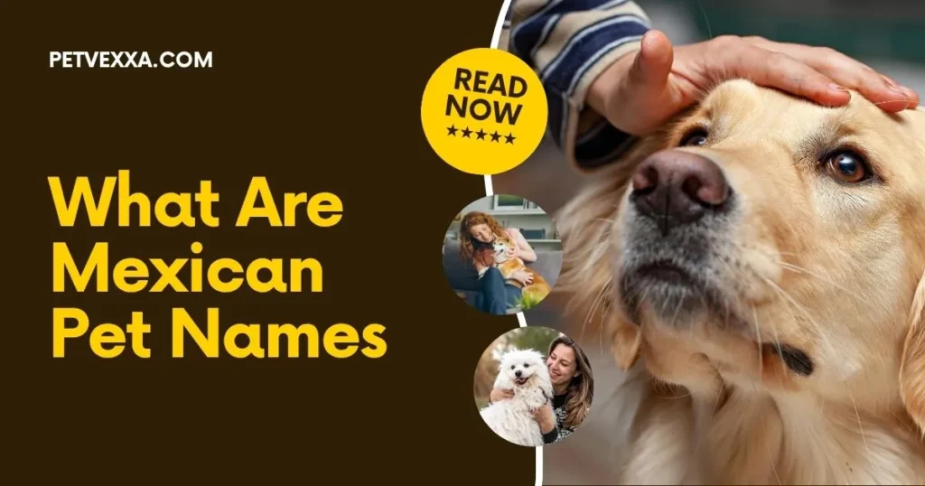 What Are Mexican Pet Names