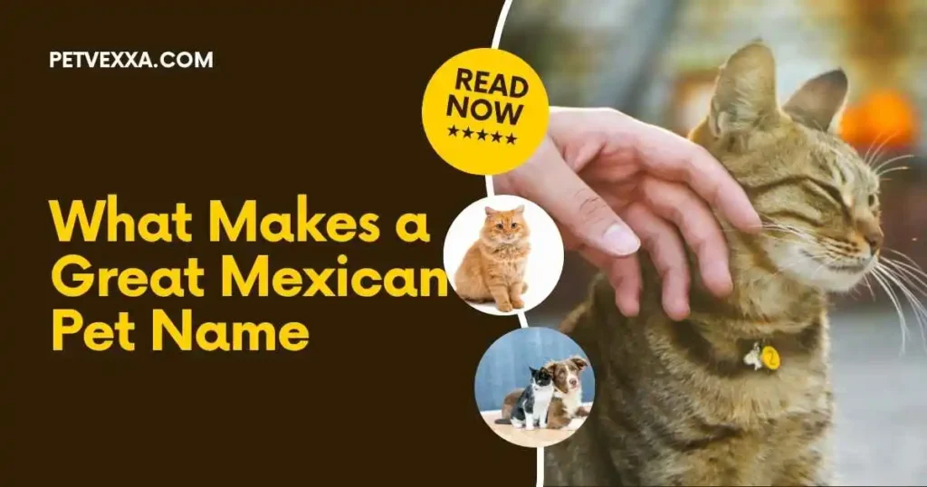 mexican-pet-names