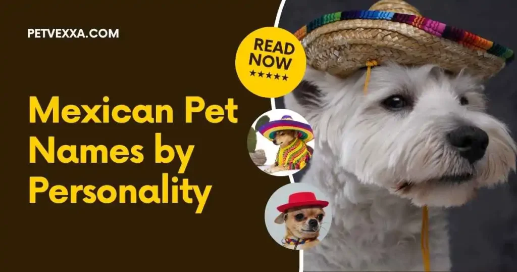 mexican-pet-names