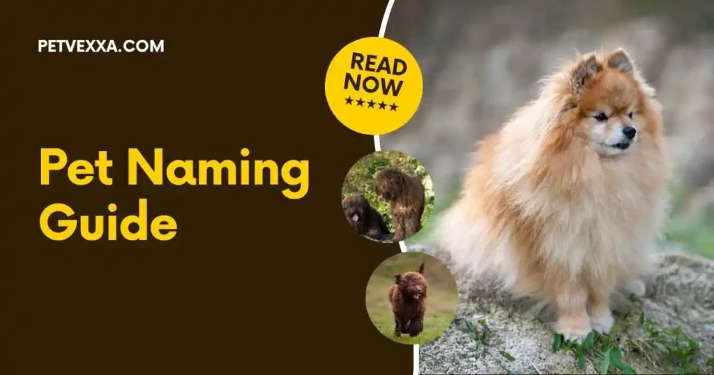 spanish-pet-names-for-him
