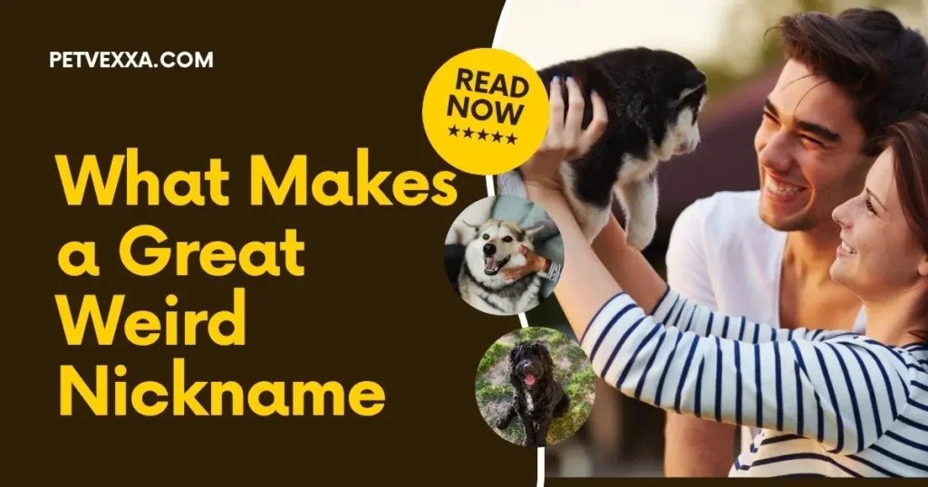 weird-pet-names-for-girlfriend