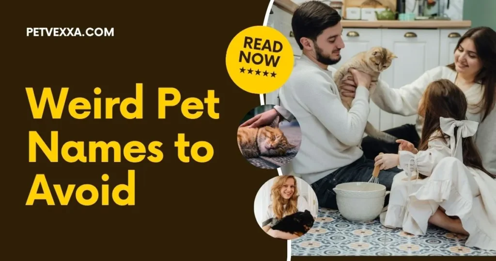 weird-pet-names-for-girlfriend