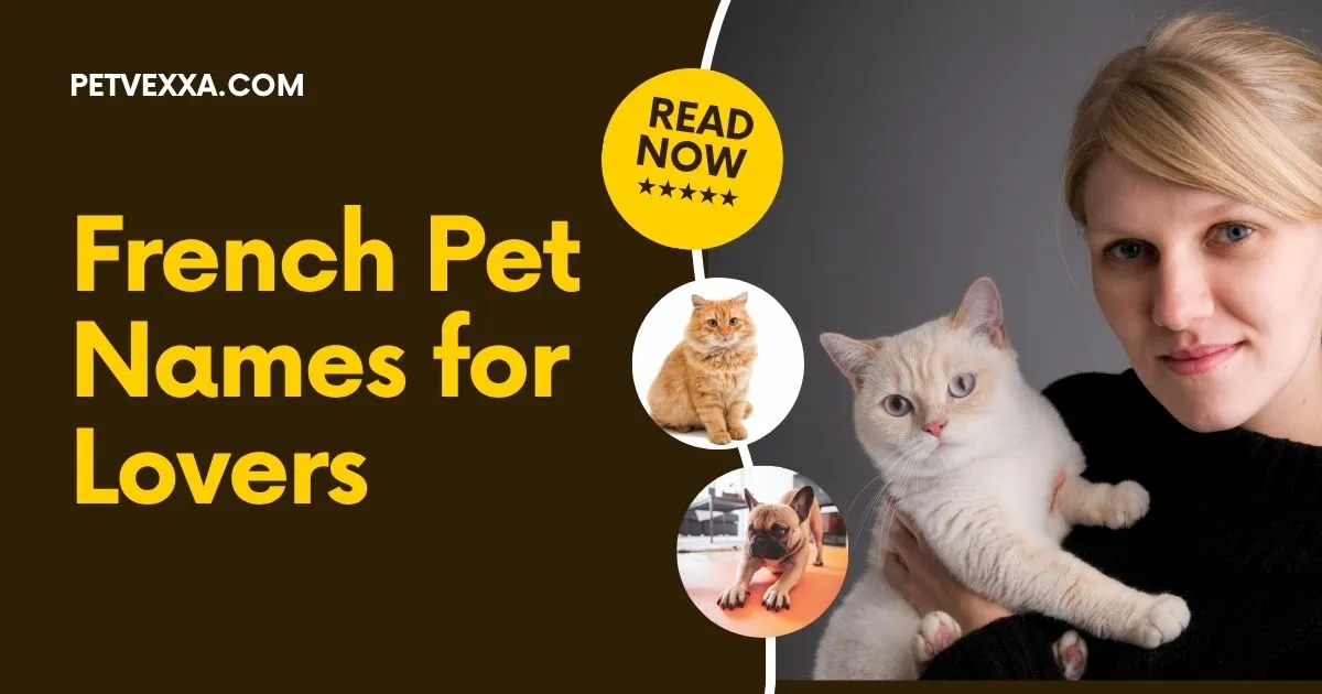 French Pet Names for Lovers