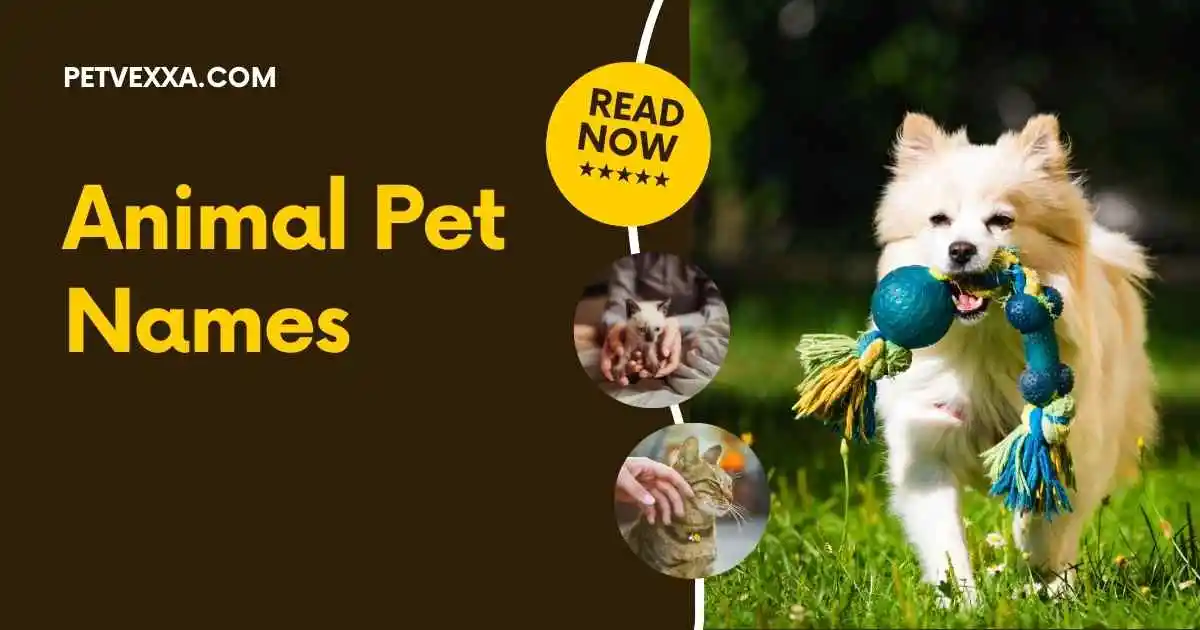 Animal Pet Names