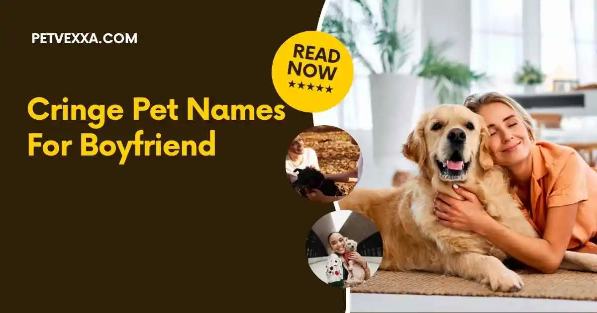 Cringe Pet Names For Boyfriend