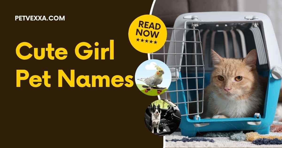 Cute Girl Pet Names