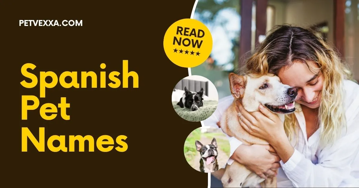 Spanish Pet Names