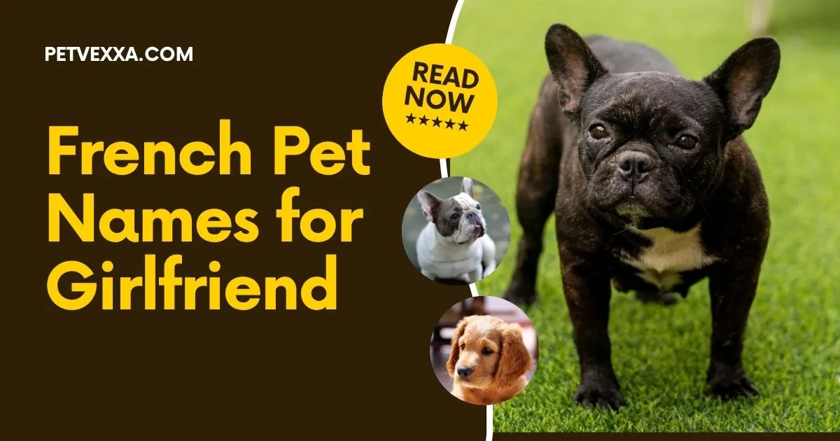 French Pet Names for Girlfriend