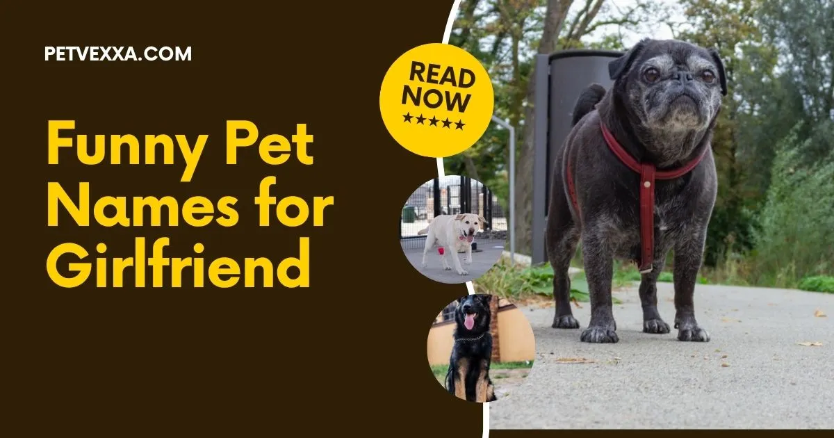 Funny Pet Names for Girlfriend