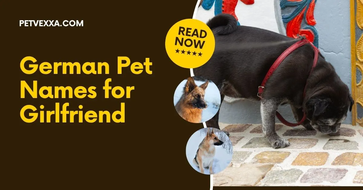 German Pet Names for Girlfriend
