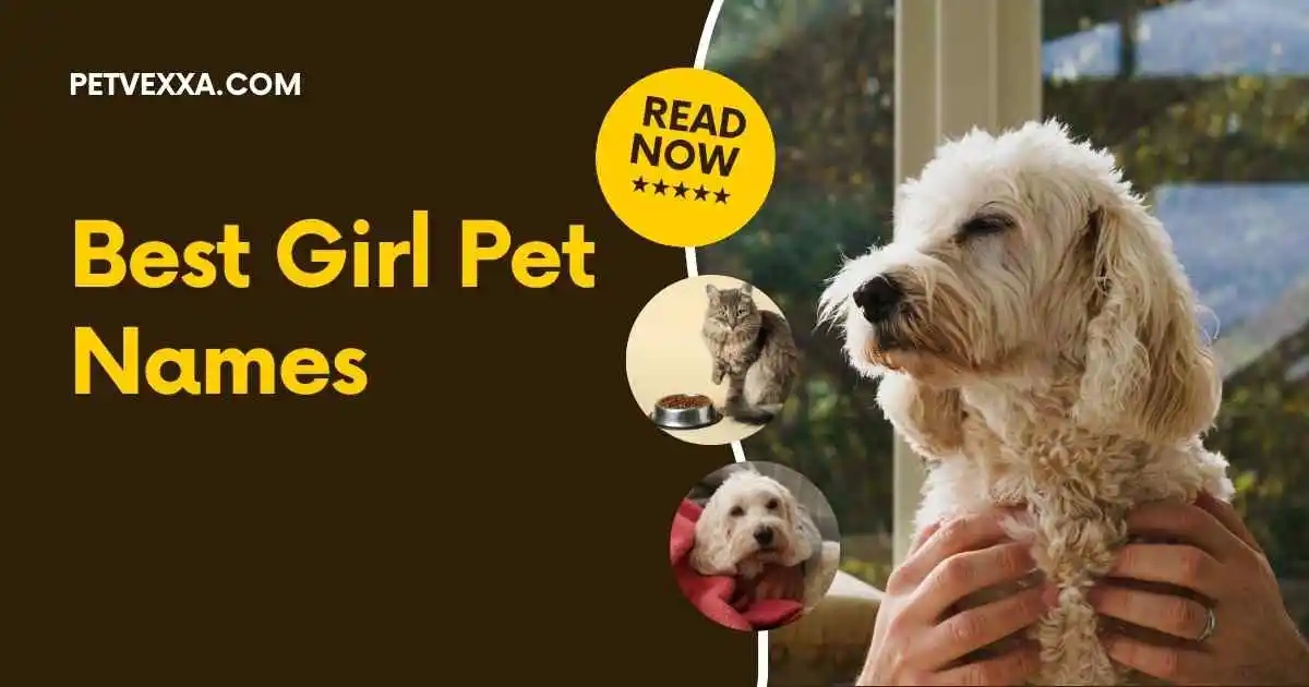 girl pet names