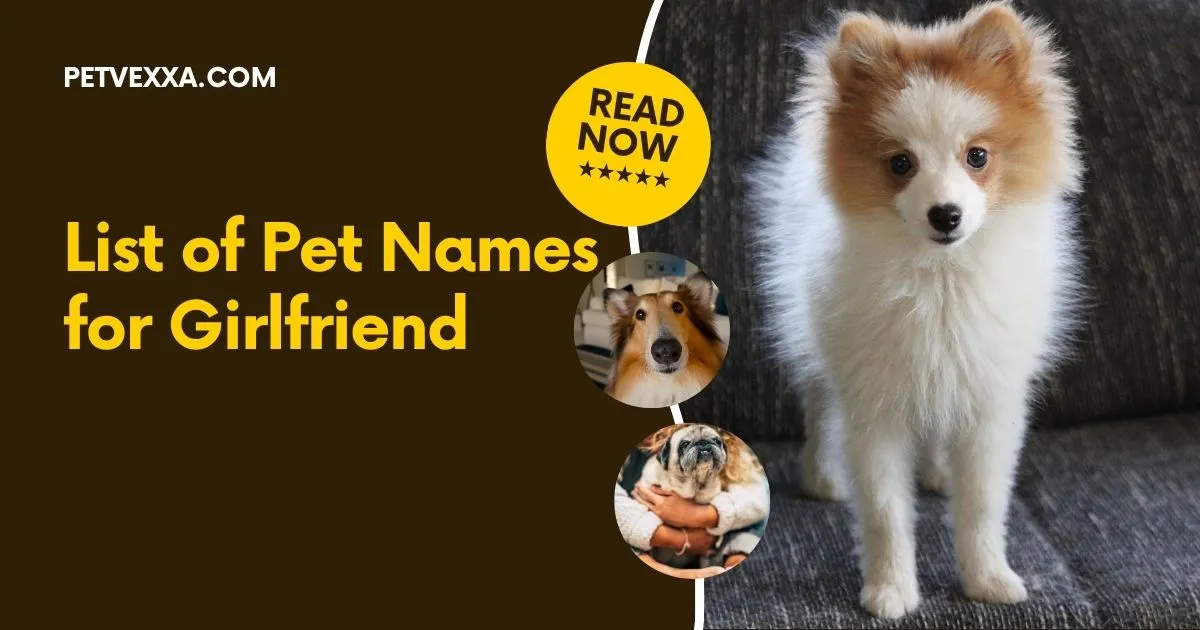 List of Pet Names for Girlfriend