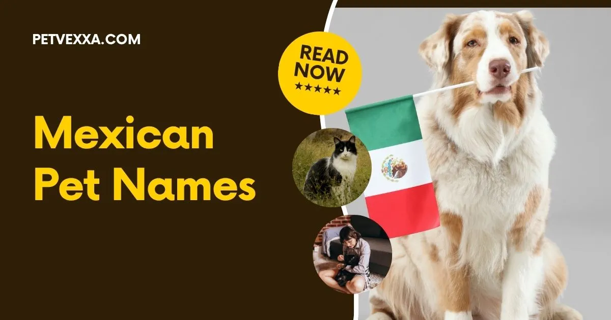 Mexican Pet Names