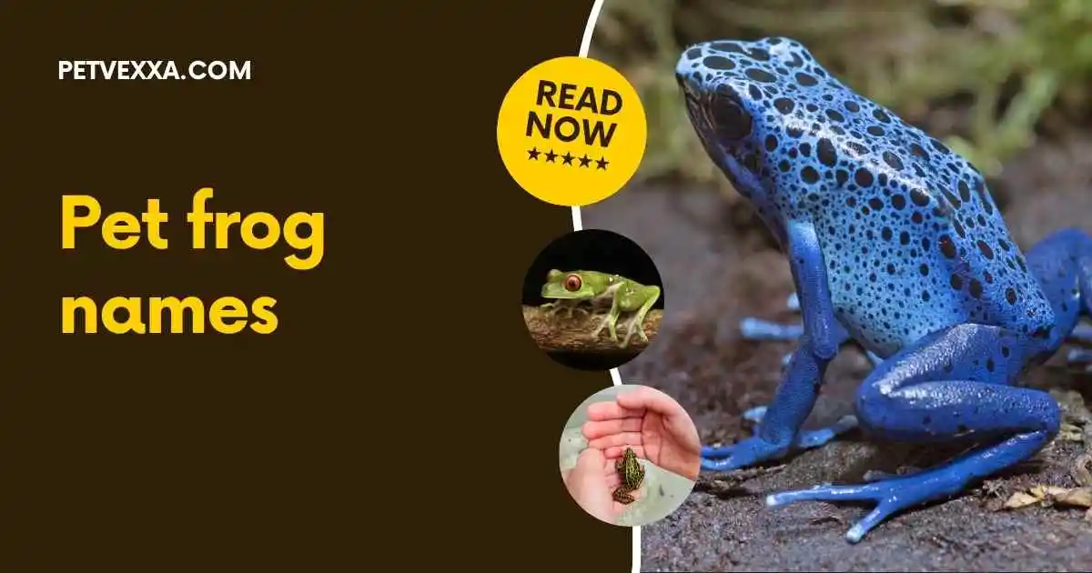 pet frog names