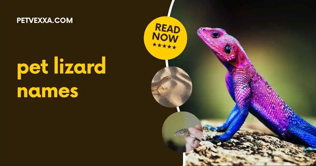 pet lizard names