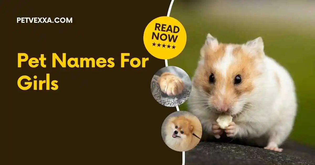 Pet Names For Girls