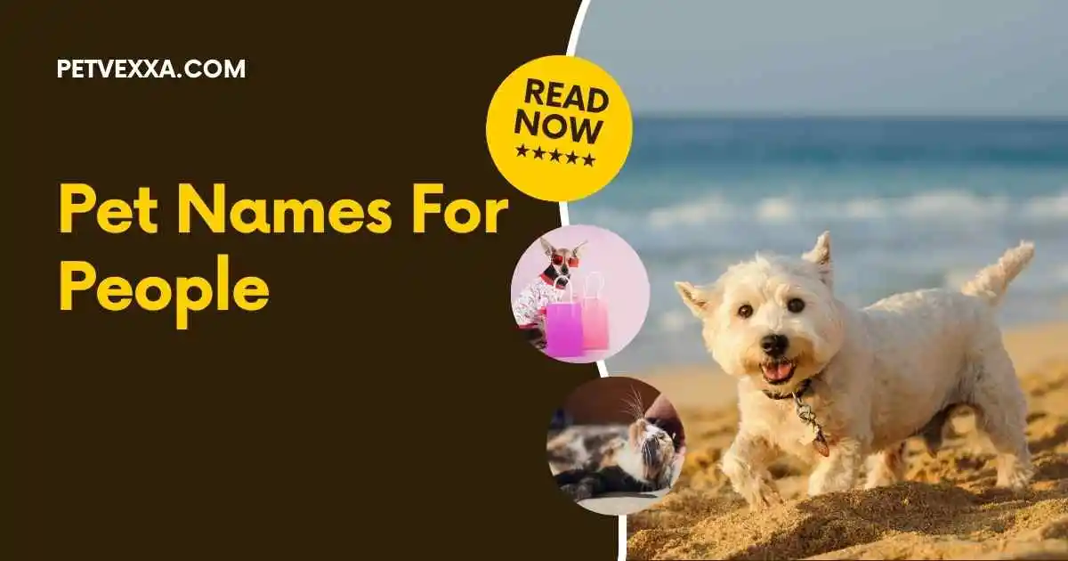 Pet Names For People