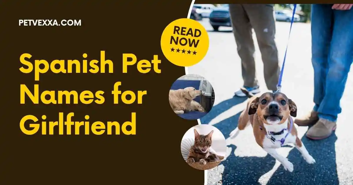 Spanish Pet Names for Girlfriend