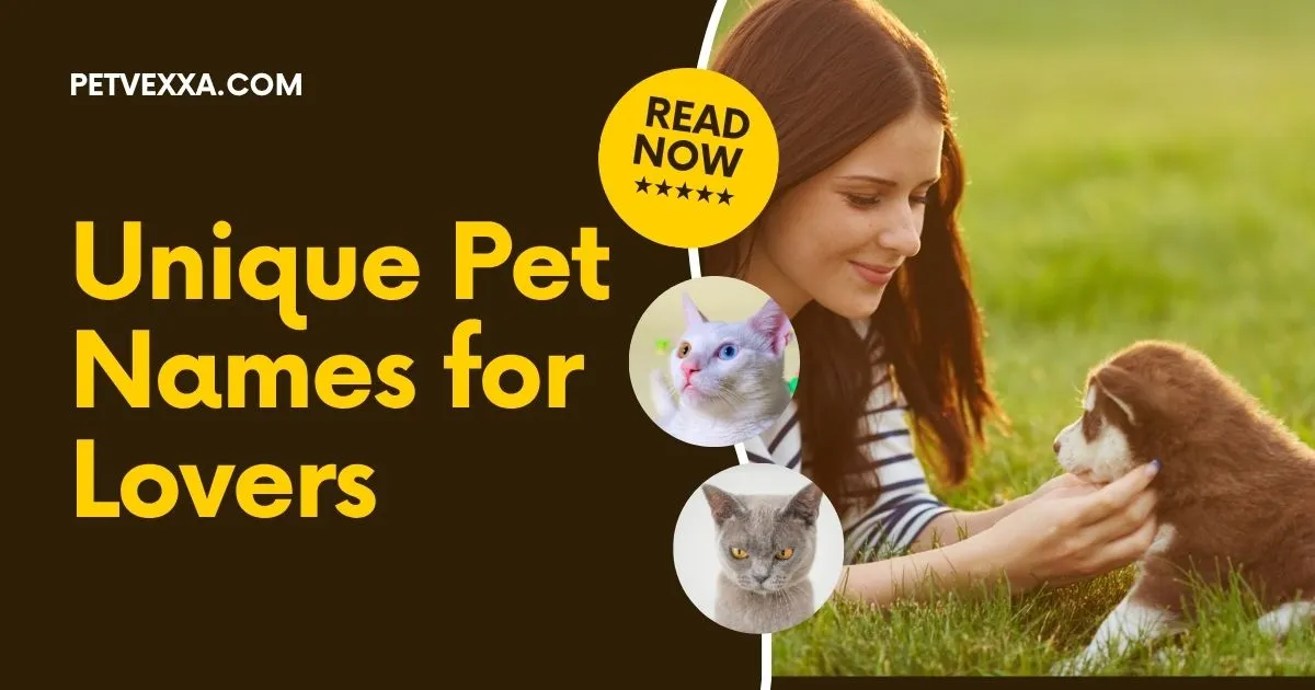 unique-pet-names-for-lovers
