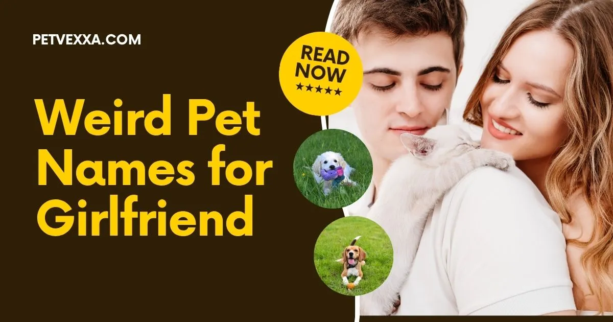 weird-pet-names-for-girlfriend
