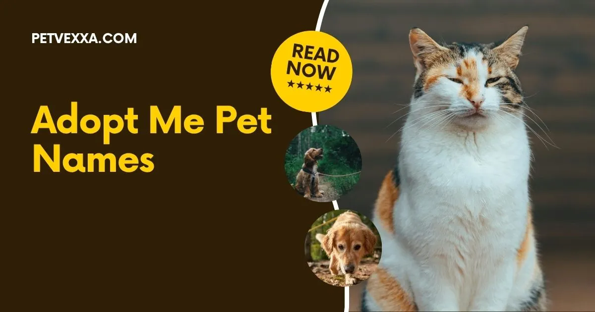 Adopt Me Pet Names