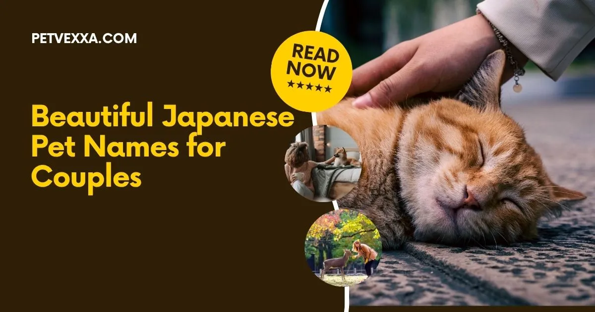 Beautiful Japanese Pet Names for Couples