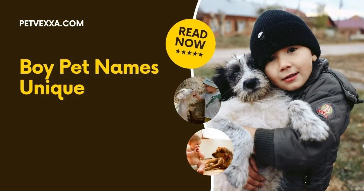 Boy Pet Names Unique
