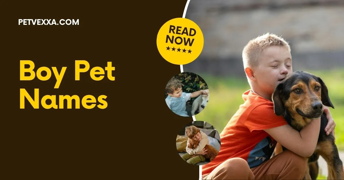 Boy Pet Names