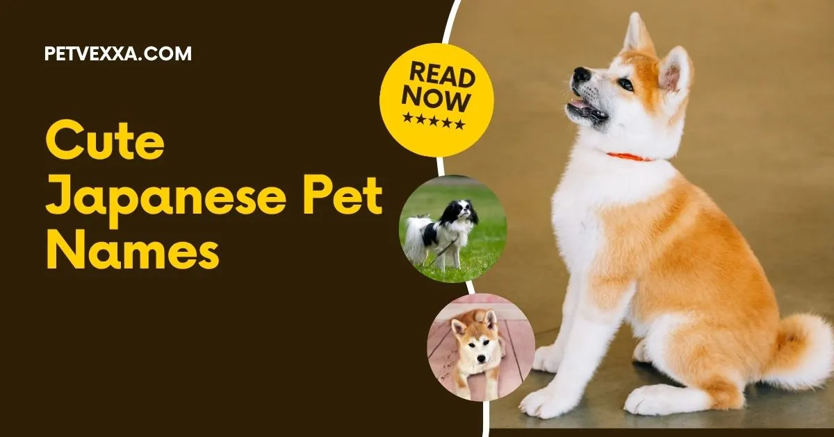 Cute Japanese Pet Names