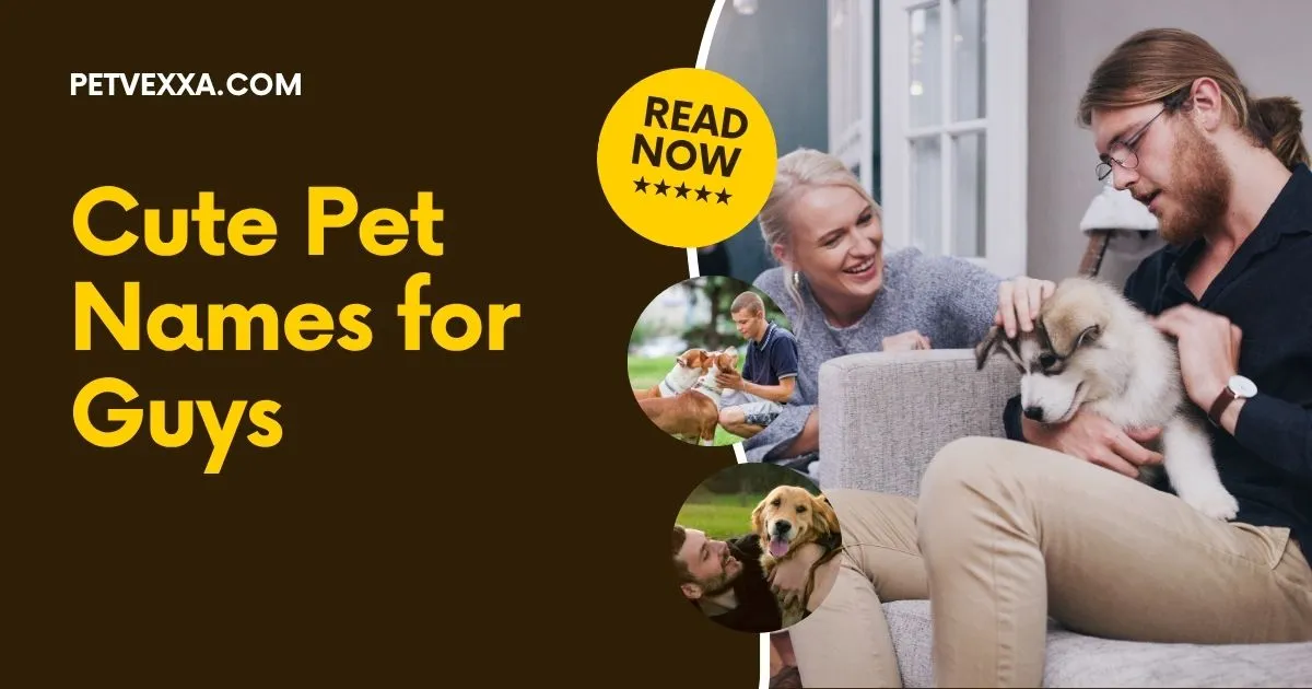 Cute Pet Names for Guys
