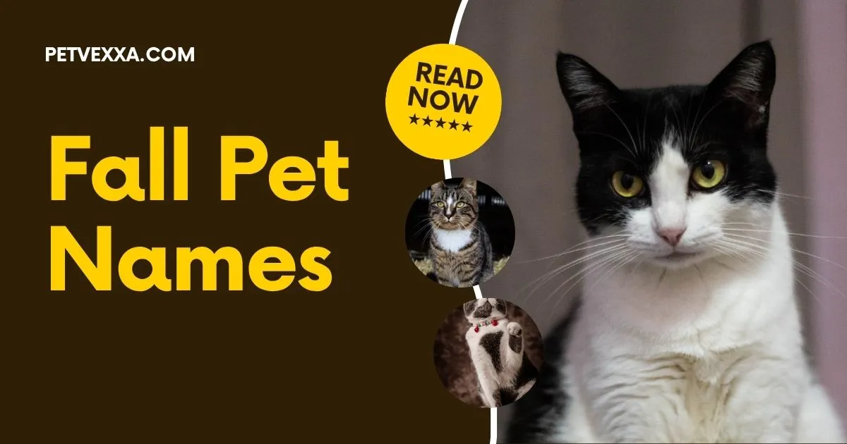 Fall Pet Names