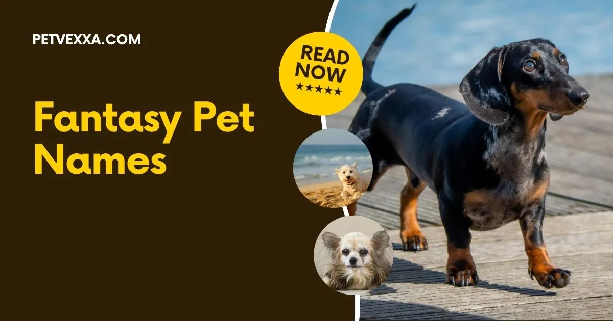 Fantasy Pet Names