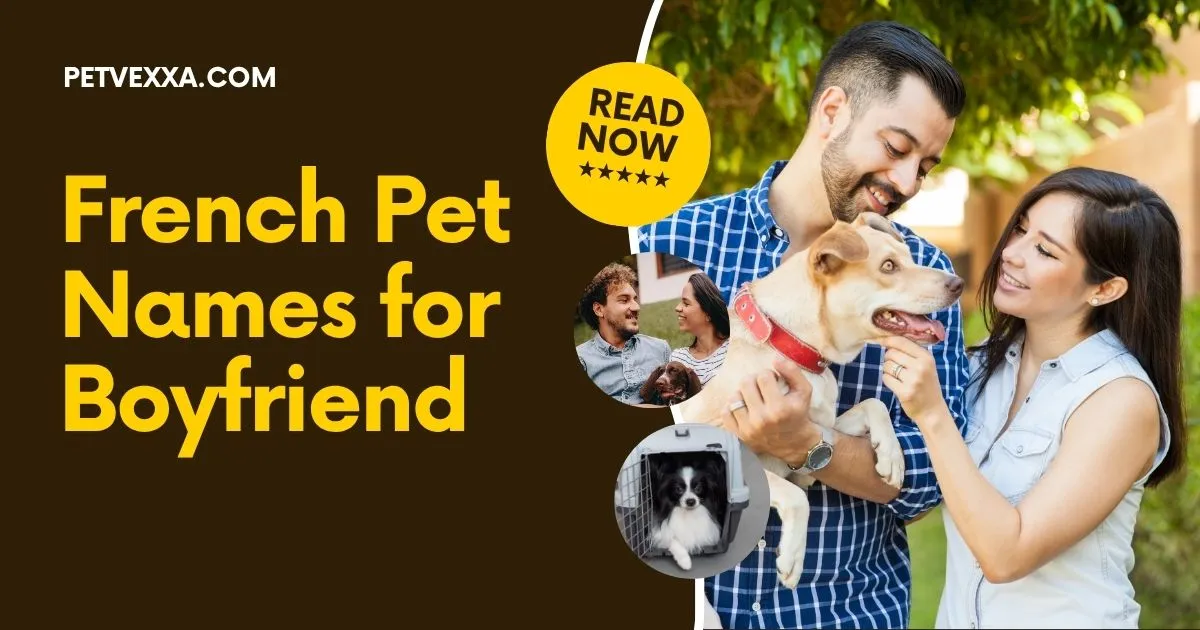 French Pet Names for Boyfriend