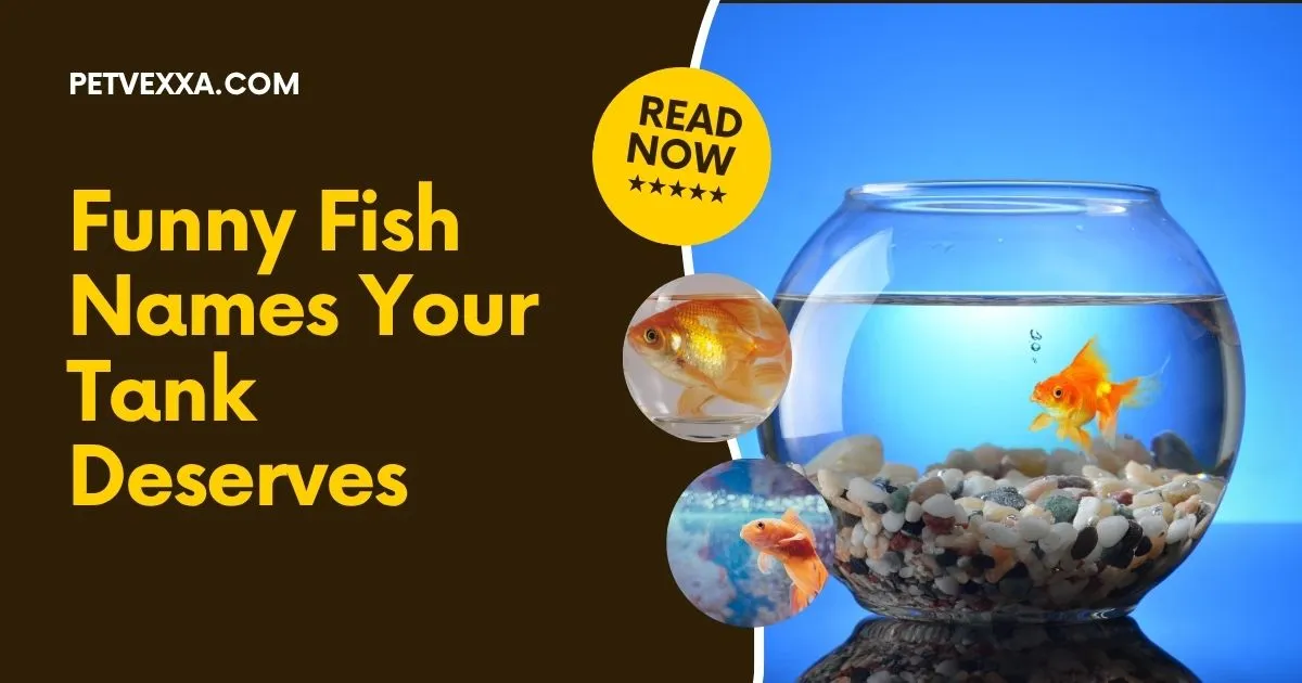 Funny Fish Names Your Tank Deserves