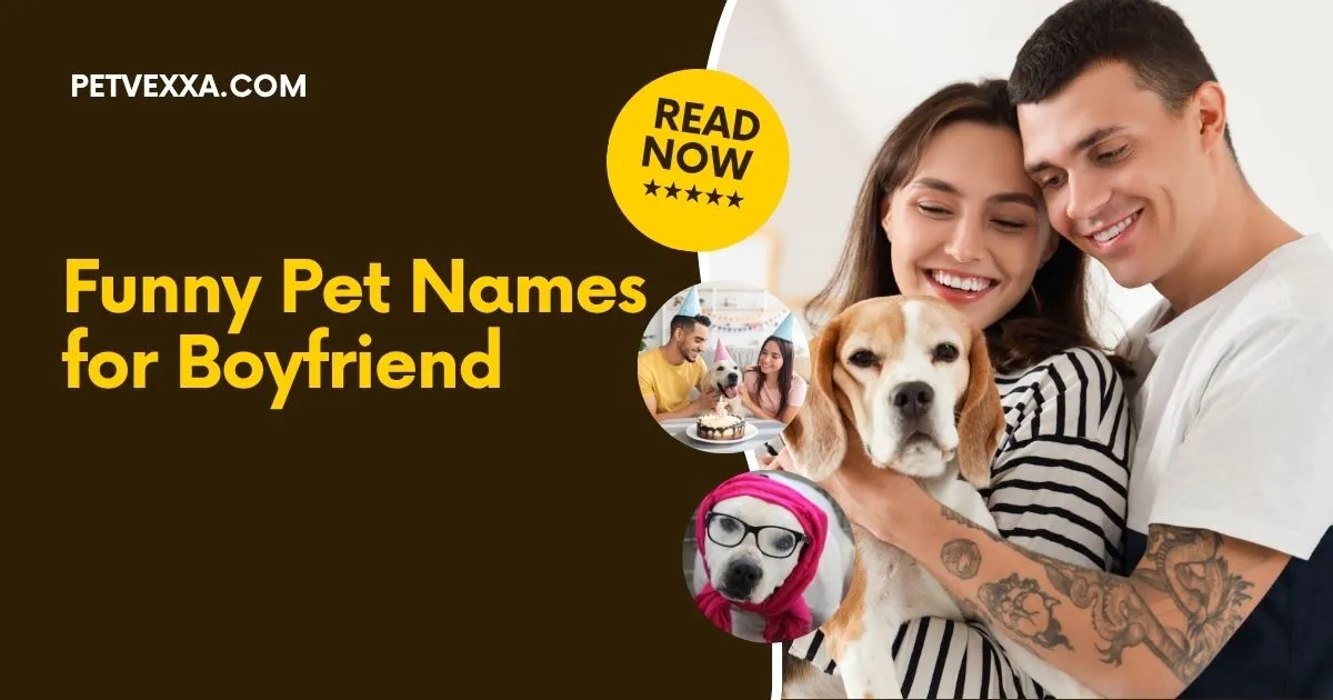 Funny Pet Names for Boyfriend