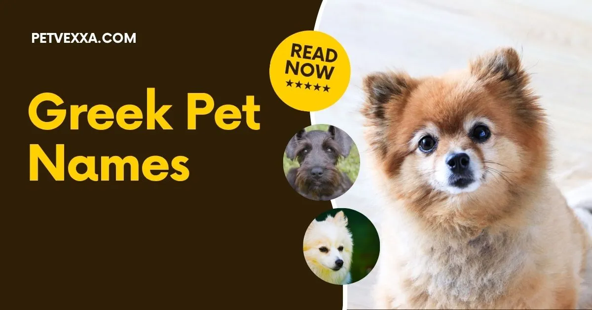 Greek Pet Names