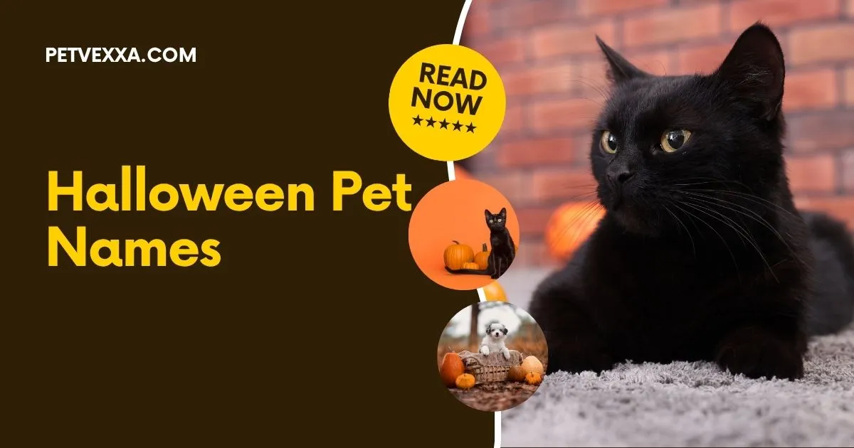 Halloween Pet Names