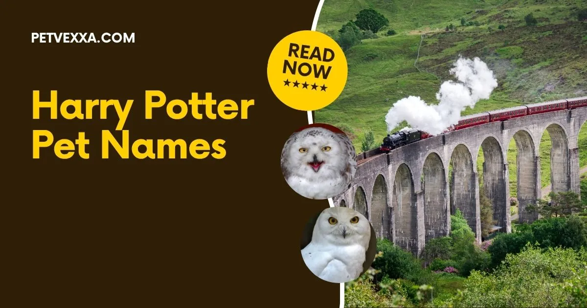 Harry Potter Pet Names