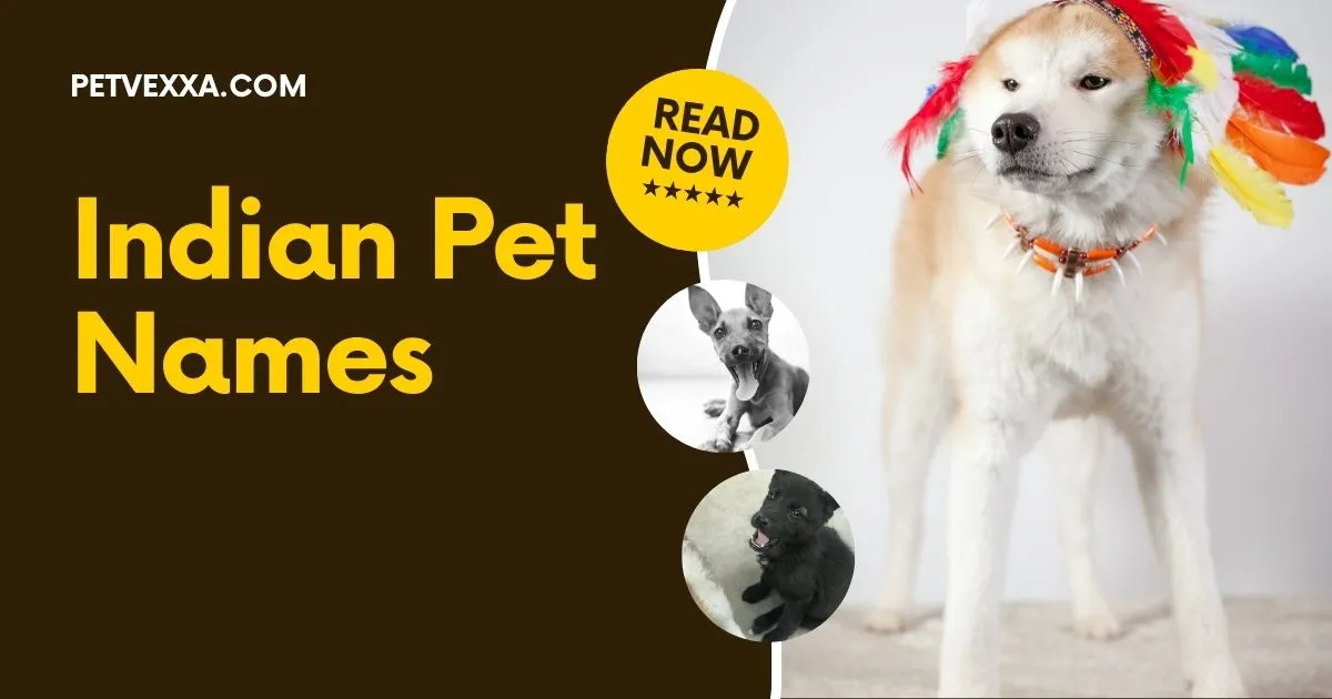 Indian Pet Names