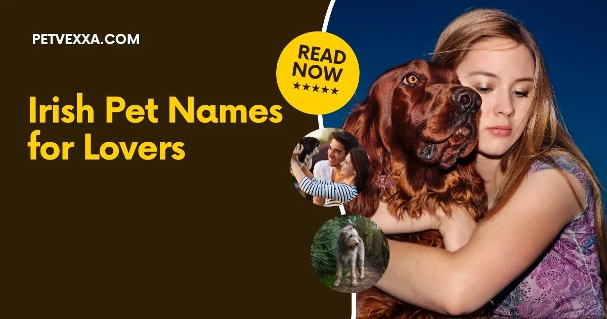 Irish Pet Names for Lovers