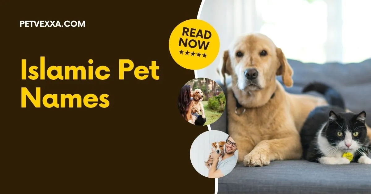Indian Pet Names