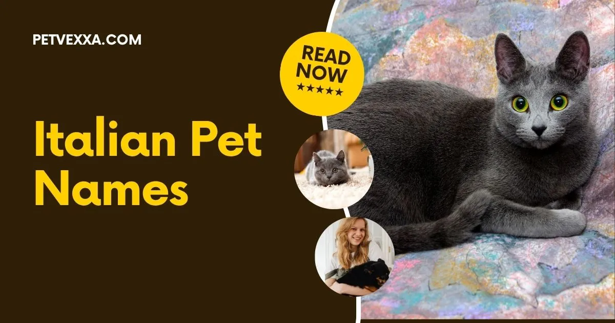 Italian Pet Names