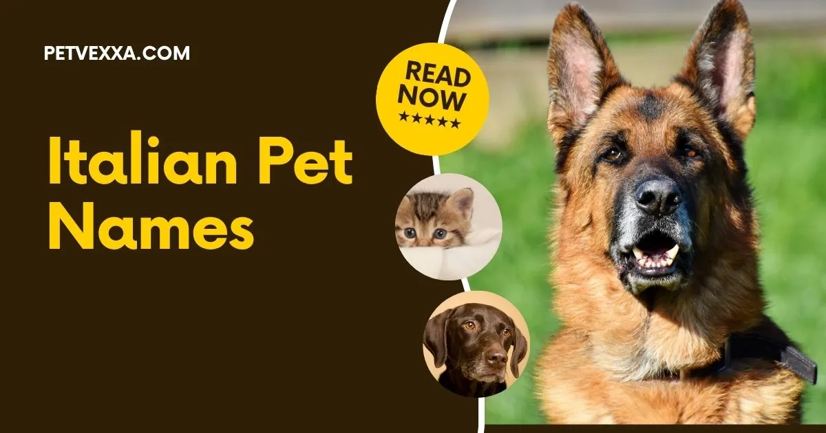 Italian Pet Names