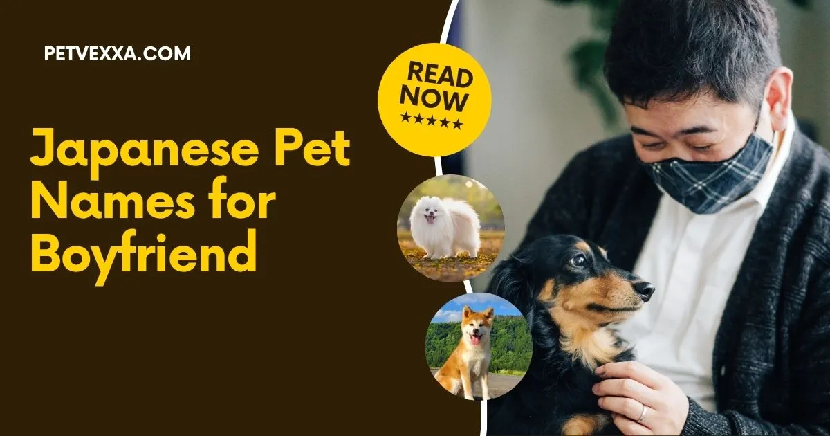 Japanese Pet Names for Boyfriend