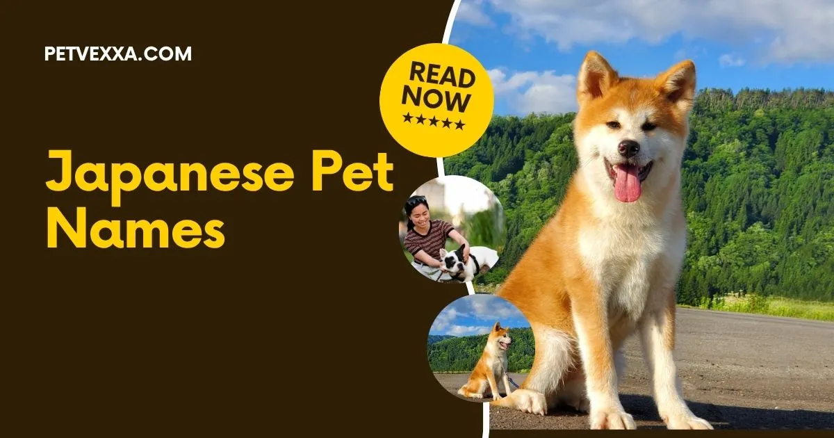 Japanese Pet Names